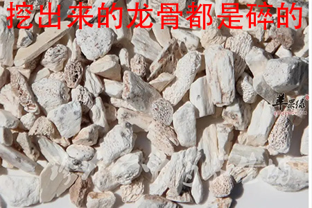 万寿集团_万寿集团_万寿集团_万寿集团_万寿集团_万寿集团_万寿集团_万寿集团_万寿集团_万寿集团_万寿集团_万寿集团 万寿集团_万寿集团_万寿集团_万寿集团_万寿集团_万寿集团_万寿集团_万寿集团_万寿集团_万寿集团_万寿集团_万寿集团